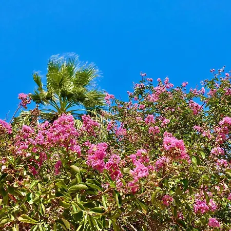 Villa Olga With Private Pool By Dadovillas Kassiopi